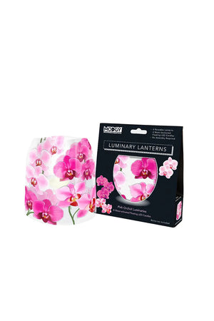 Pink Orchid Luminary_33942344368328